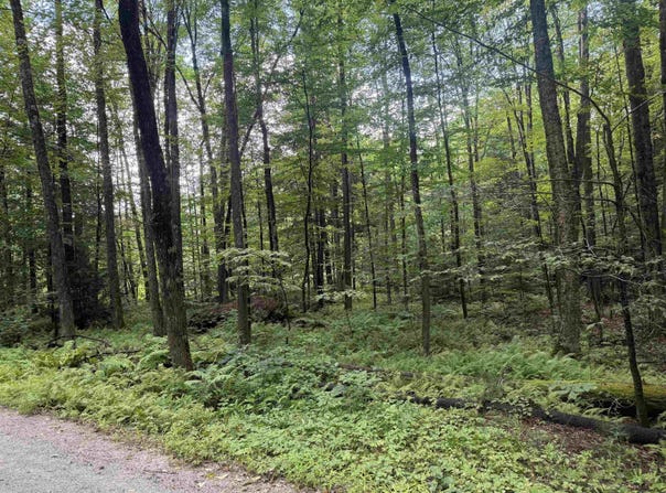 Anderson Road, Grafton, VT 05146