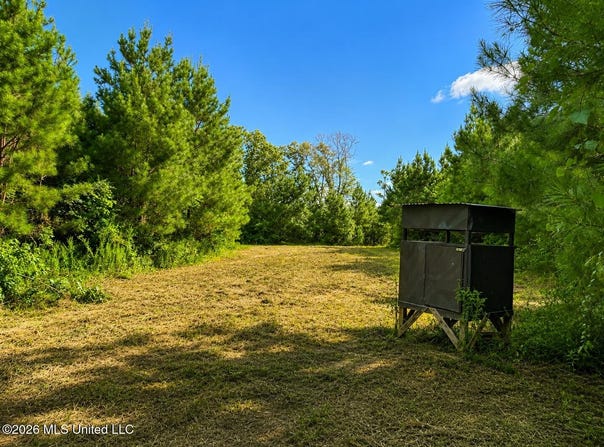 SW Auburn Drive, Bogue Chitto, MS 39629