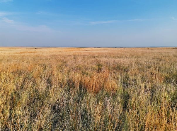 County Road, Sharon Springs, KS 67761