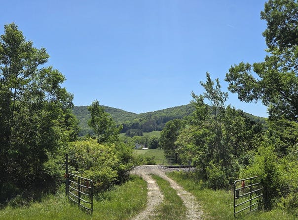 Lillibridge Road, Olean, NY 14760