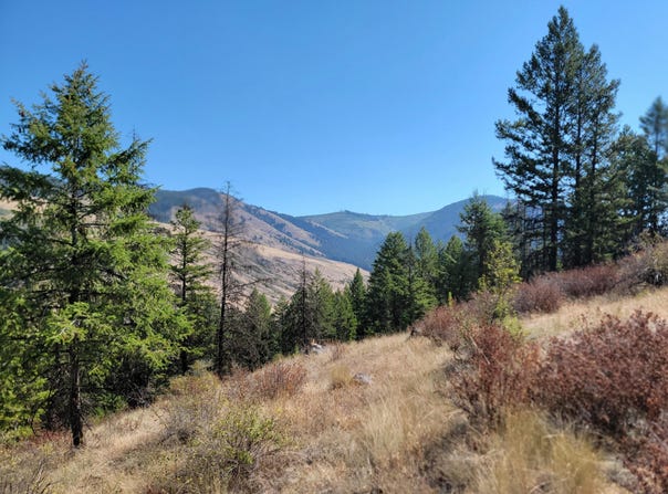 LONE RANCH RD, DANVILLE, WA 99121