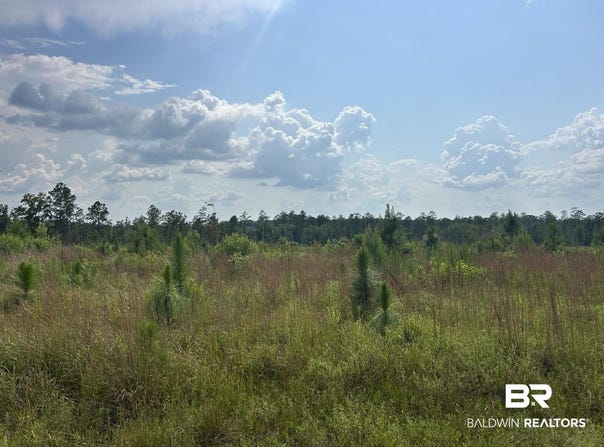 Bradley Road, Brewton, AL 36426