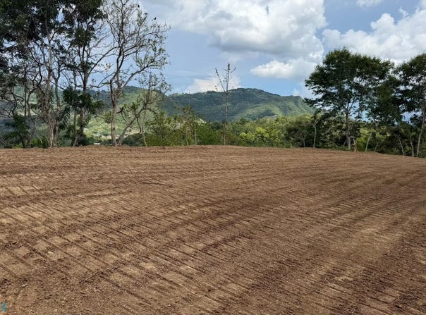 Plata, Aibonito, PR 00705