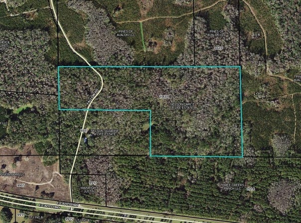Fallow Road, Lamont, FL 32336