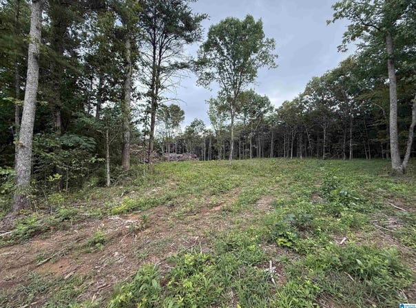 55 MOUNTAIN BROW DRIVE lot: 1, ONEONTA, AL 35121