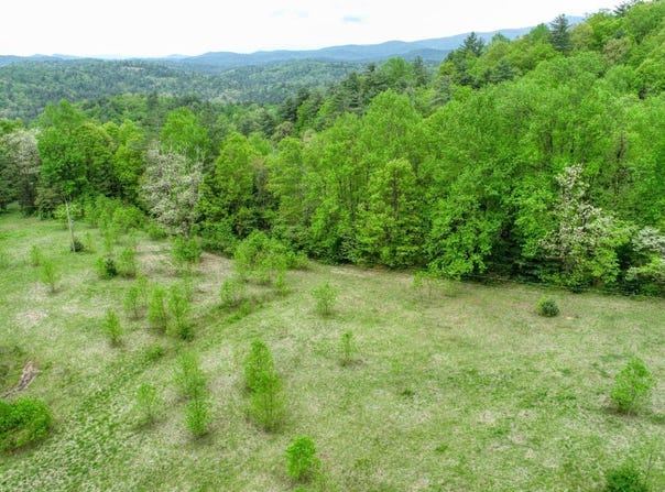 Off Neely, Highlands, NC 28741