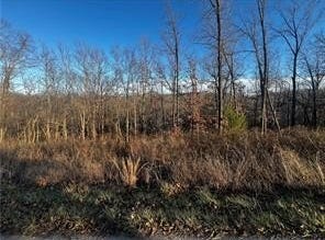 Selkirk Drive lot: 8, Bella Vista, AR 72715