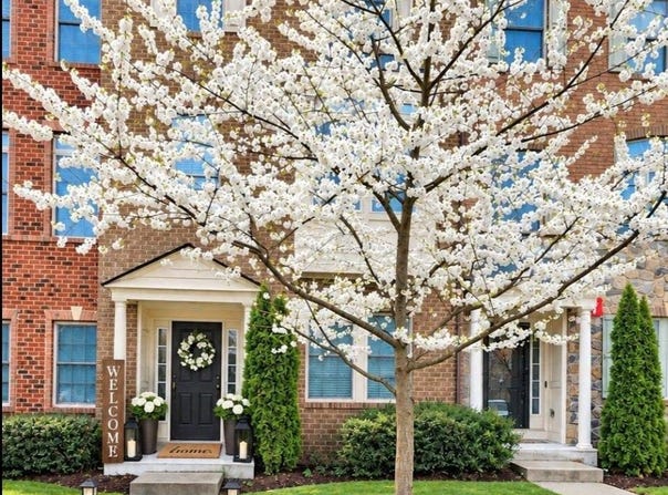 7513 THICKET RUN, HANOVER, MD 21076
