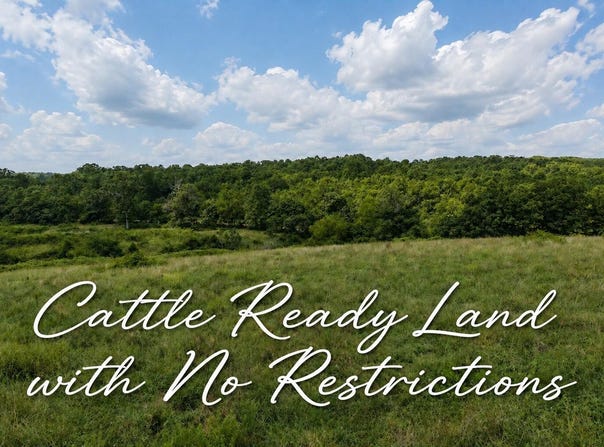 State Highway E, Hartville, MO 65667