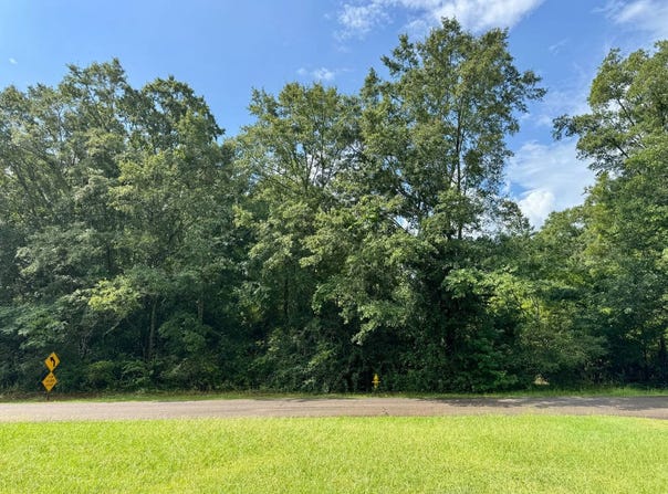 Harris St., Pine Mountain, GA 31822