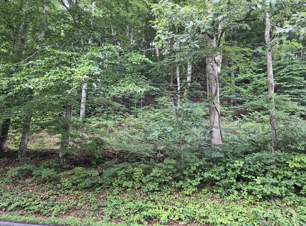 Blue Ridge Rd, Glasgow, VA 24555