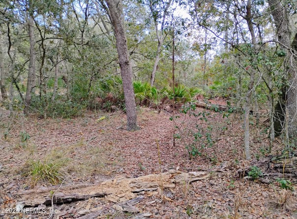 244 THOMPSON Avenue, Interlachen, FL 32148
