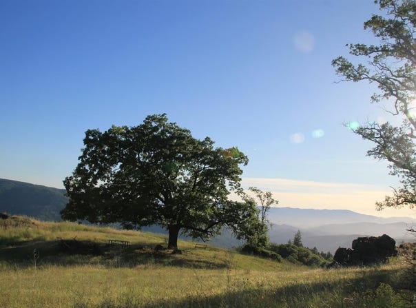 Mendocino Pass Road, Covelo, CA 95428