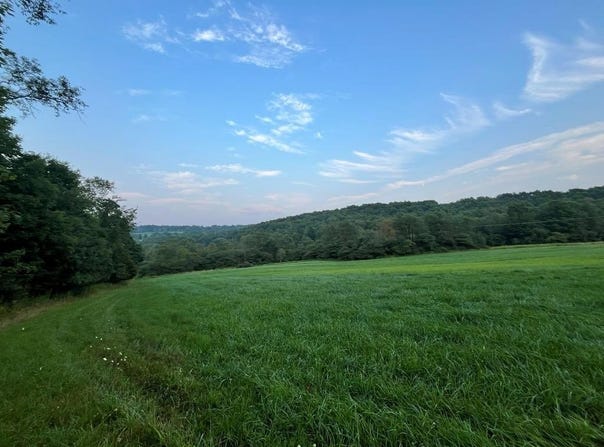 N Brookland Rd, Ulysses, PA 16948