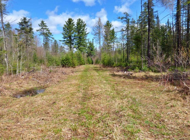 Spar Hawk Road, Wheelock, VT 05851