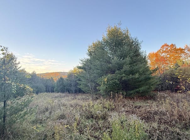 M32L50A Temple Road, Wilton, ME 04294