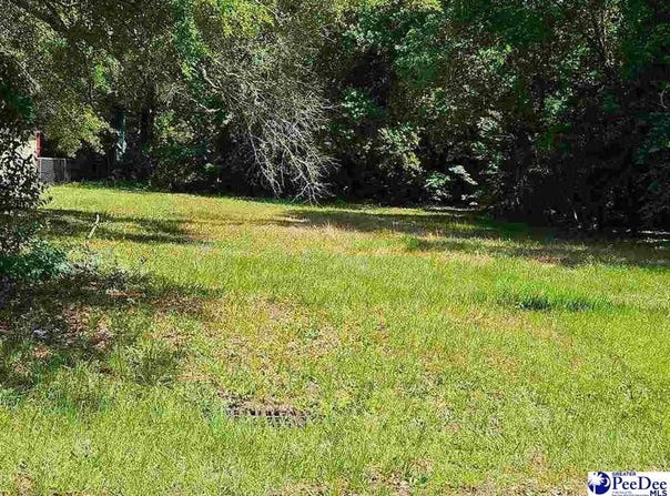 1502 Georgian Drive, Hartsville, SC 29550