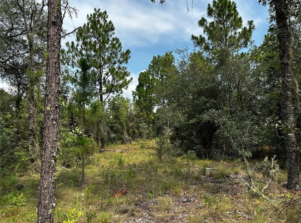 150 SE 144TH Avenue, WILLISTON, FL 32696