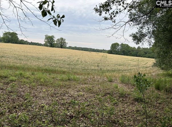 Bodie Road, Pelion, SC 29123