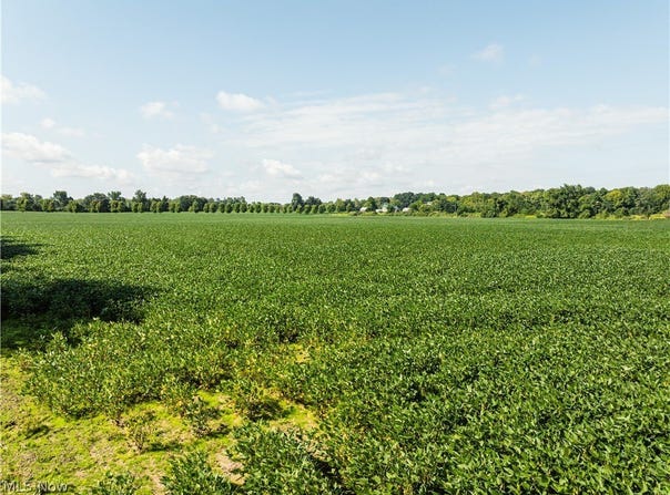 Webster Road, Centerburg, OH 43011
