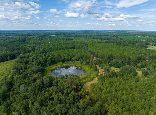 Lott Rd, Wacissa, FL 32344