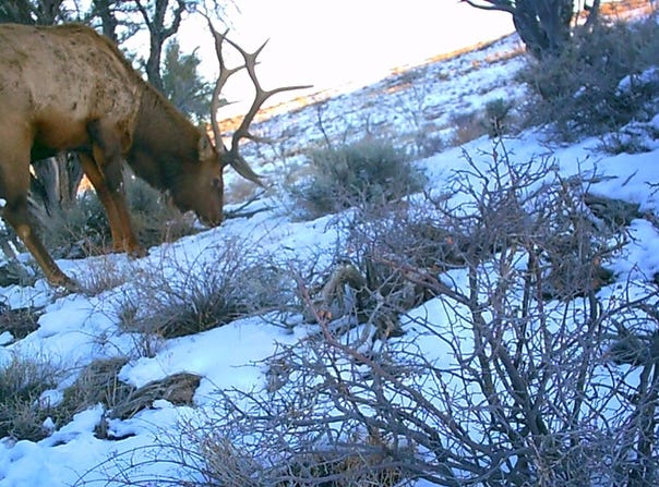 Fruitland, UT 84027