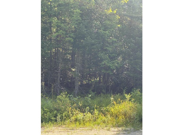 1256 Long Ridge Road, Burlington, ME 04417