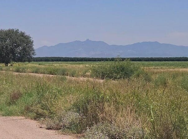 9601 S Robison Road, Willcox, AZ 85643
