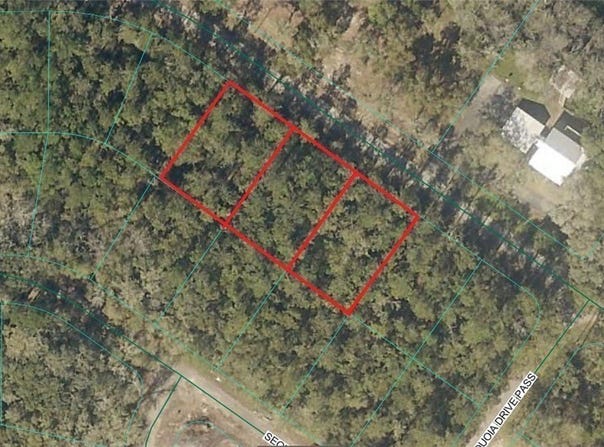 Sequoia Drive, Ocklawaha, FL 32179