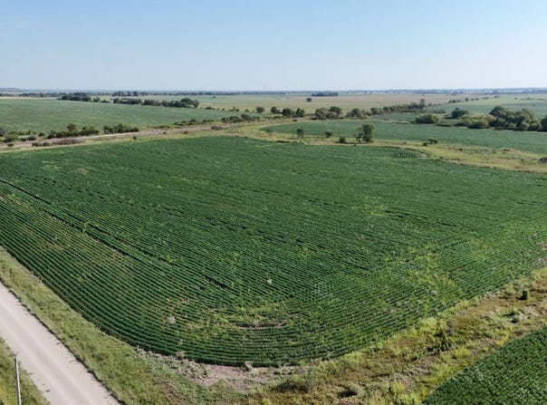 Blackbird Rd, Lebo, KS 66856