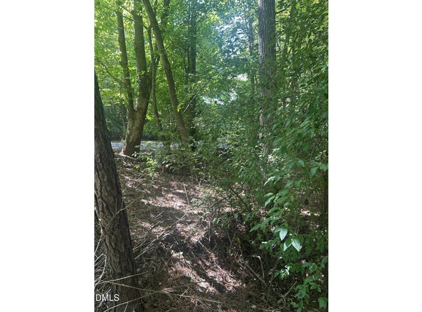 1317 Pine Trail, Clayton, NC 27520