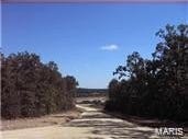 1 The Quarry Plat 4 Phase III, Rolla, MO 65401