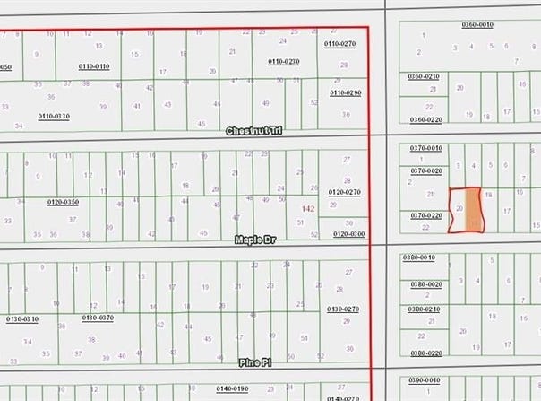 MAPLE Drive, INTERLACHEN, FL 32148