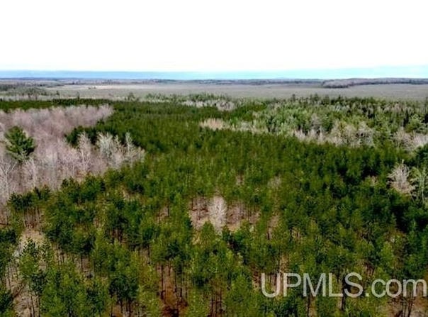 Co Rd 440, Wetmore, MI 49849