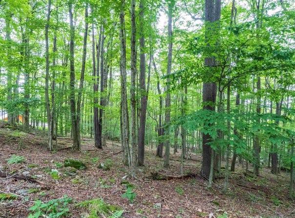 126 Mountainside Road, Davis, WV 26260