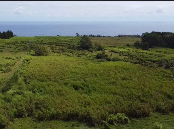 1-3 PRIVATE RD, Hakalau, HI 96710