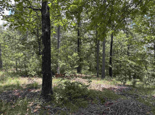 Vista View Pl, Hot Springs, AR 71901