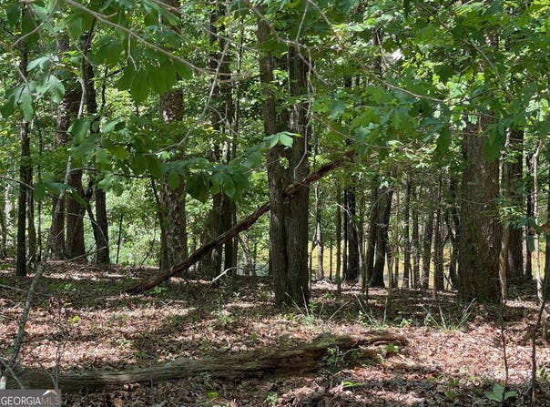 TRACT 2 CHALCREST Way, Cave Spring, GA 30124