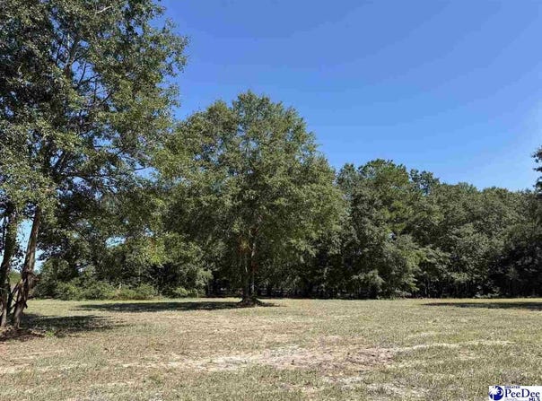 Isaiah Drive lot: 6, Dillon, SC 29536