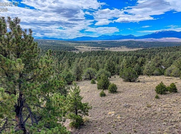344 Matterhorn Circle, Westcliffe, CO 81252
