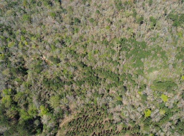 FM 1012, Newton, TX 75966