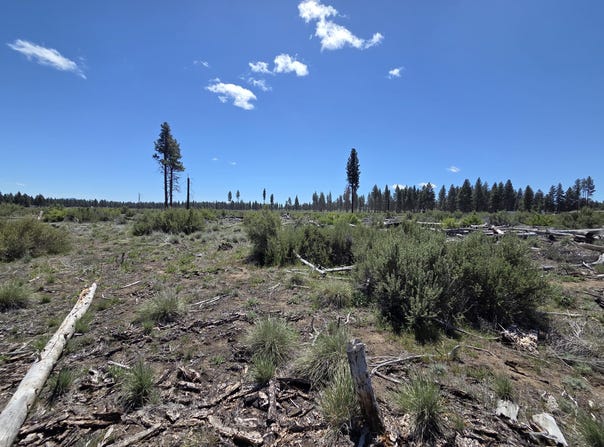 Mountain Quail Lane lot: 9, Chiloquin, OR 97624