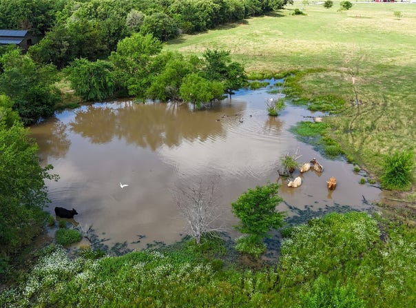 CR 166, Callisburg, TX 76273
