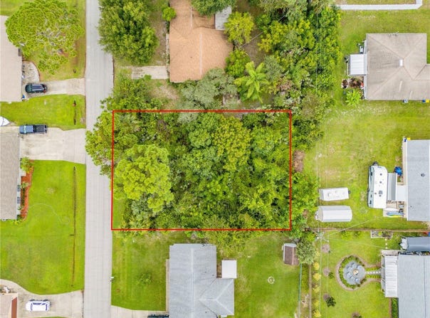 UMBRELLA TREE Drive, EDGEWATER, FL 32132