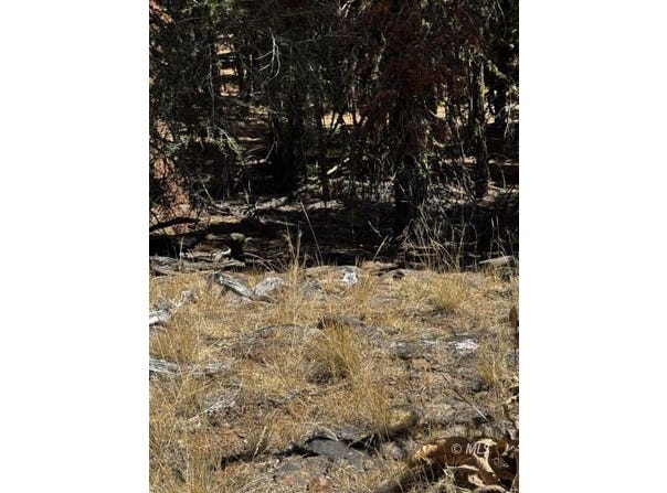 Highlander Ln, Alturas, CA 96101