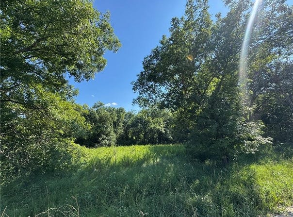 Fishing River Road, Excelsior Springs, MO 64024