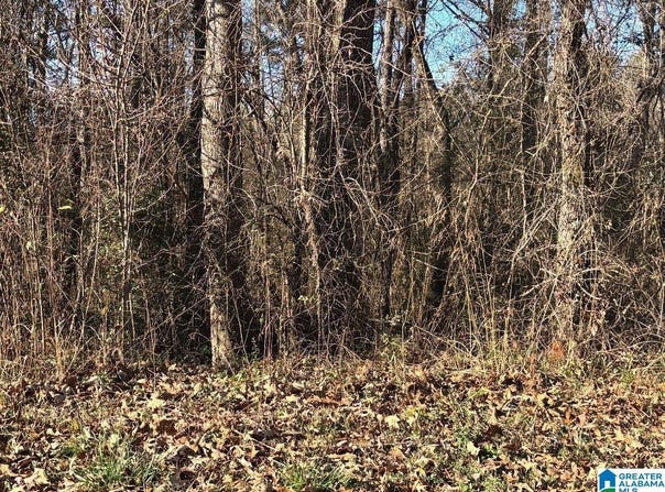 167 WILSON GLEN DRIVE lot: 11, WILSONVILLE, AL 35186