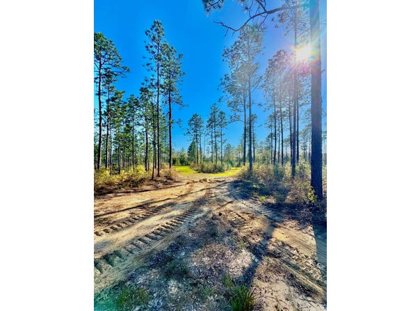 Hubert Morris Rd., Wilmer, AL 36587