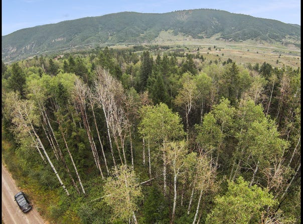 Spanish Fork, UT 84660