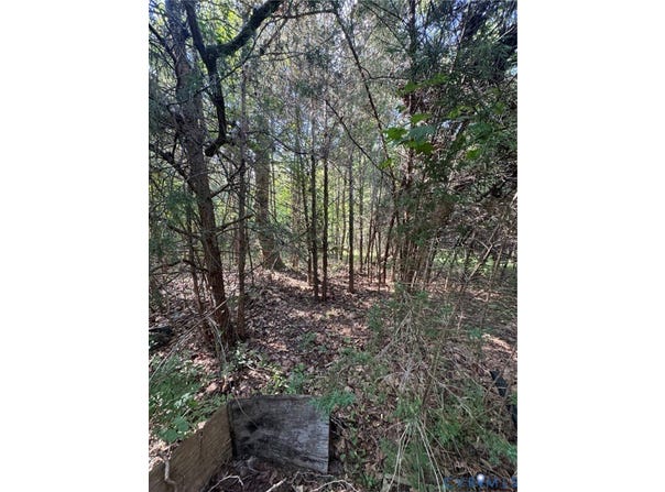 Three Notch Road, Kents Store, VA 23084